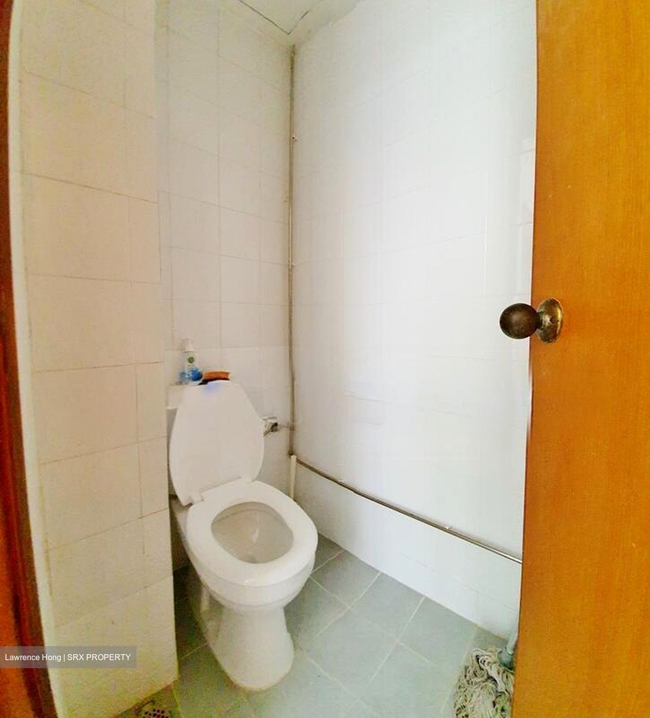 Gold Palm Mansion (D15), Apartment #502421121